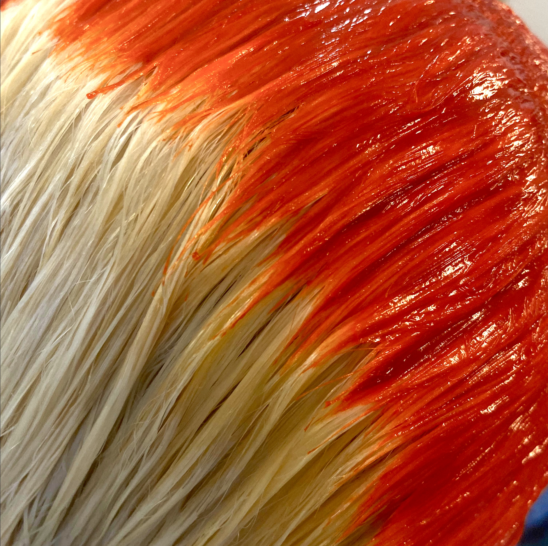 Colour Services
